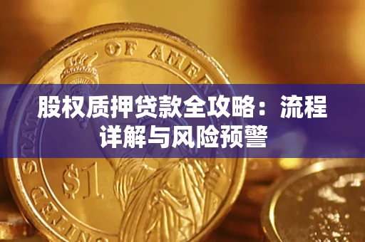 武汉股权质押贷款全攻略：流程详解与风险预警