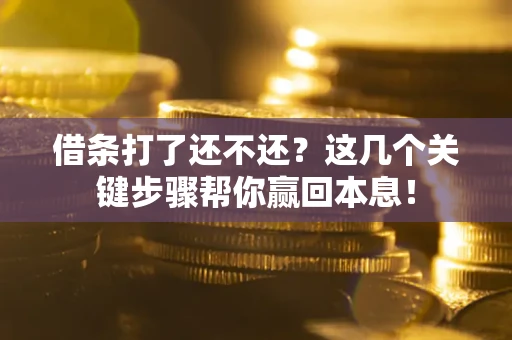 武汉借条打了还不还？这几个关键步骤帮你赢回本息！