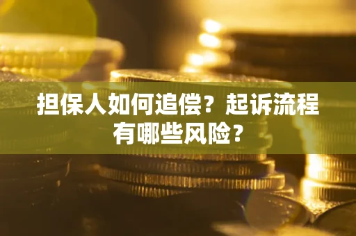 武汉担保人如何追偿？起诉流程有哪些风险？