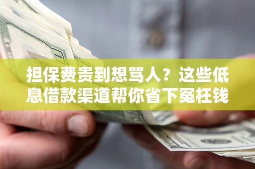 武汉担保费贵到想骂人？这些低息借款渠道帮你省下冤枉钱