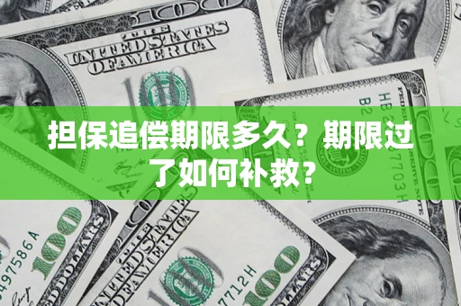 武汉担保追偿期限多久？期限过了如何补救？