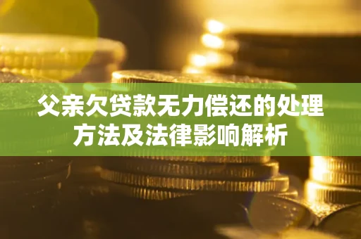 武汉父亲欠贷款无力偿还的处理方法及法律影响解析