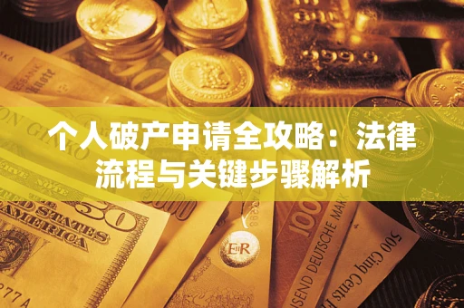 武汉个人破产申请全攻略：法律流程与关键步骤解析